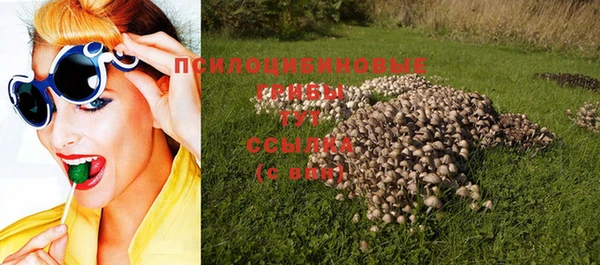 2c-b Аркадак