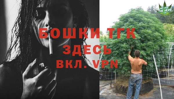 спайс Арсеньев