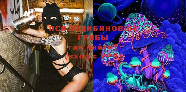 спайс Арсеньев