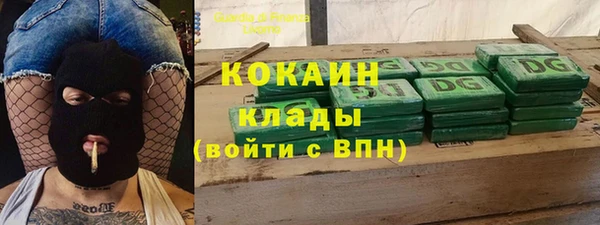 спайс Арсеньев